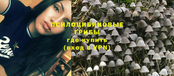 хмурый Балабаново