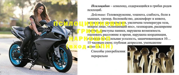 COCAINE Богородицк