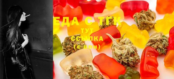 гидра Бородино