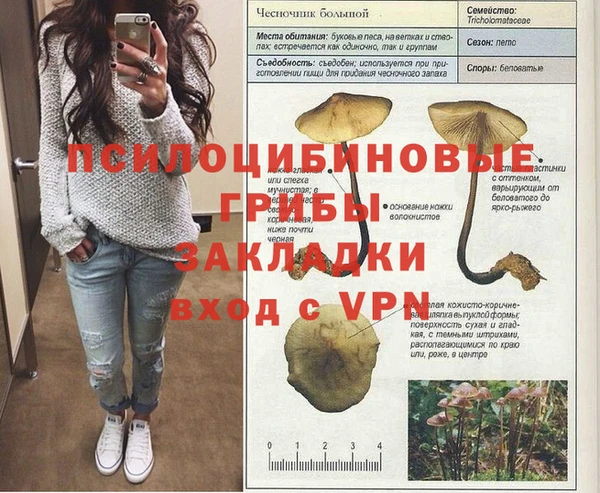 COCAINE Богородицк